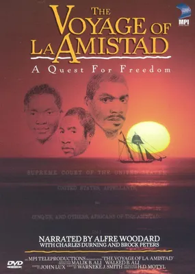 The Voyage of La Amistad: A Quest for Freedom