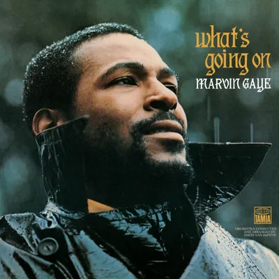 What's Going On: Live (2 LP)