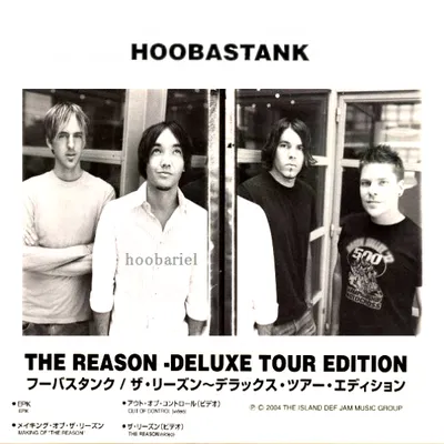 The Reason (LP)(15th Anniversary Edition)