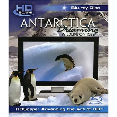 Antarctica Dreaming - USED
