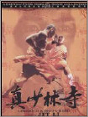 The Legend Of Kung Fu Hero - USED