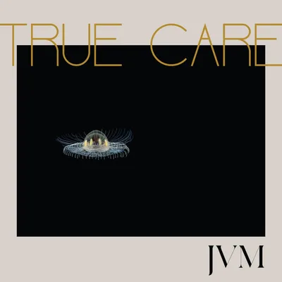 True Care (2 LP)
