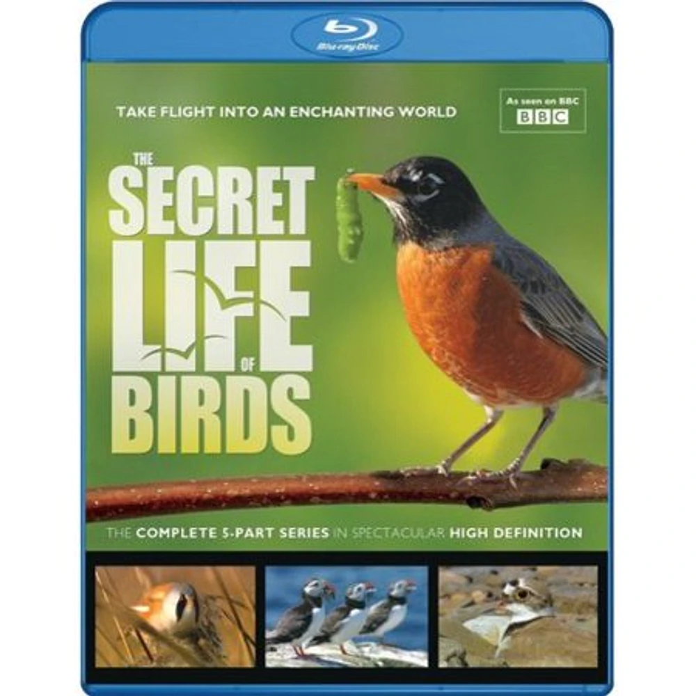 The Secret Life of Birds - USED