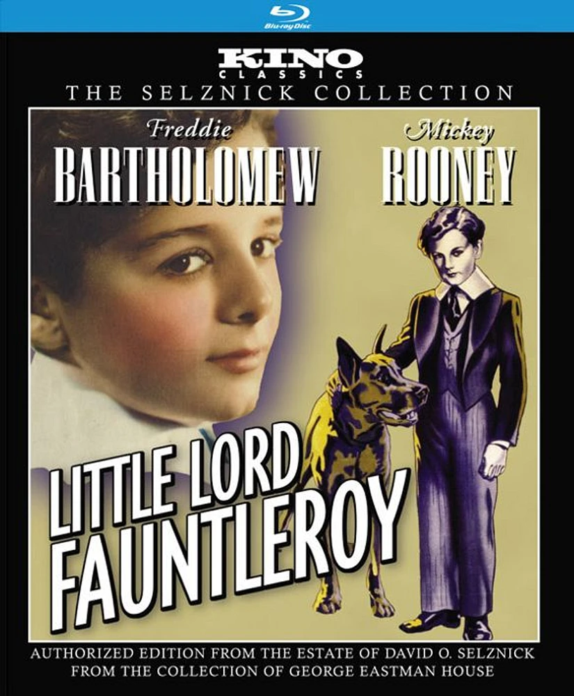 Little Lord Fauntleroy - USED