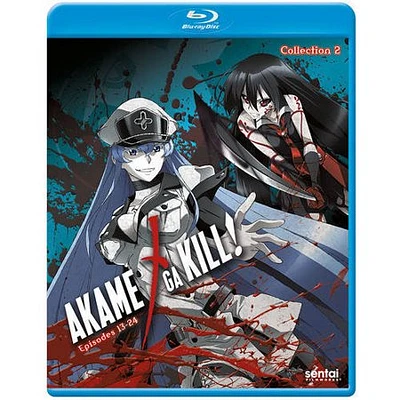 Akame Ga Kill: Collection 2 - USED