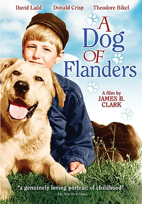 DOG OF FLANDERS - USED