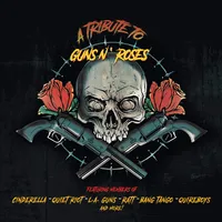 Tribute To Guns N' Roses