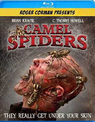 Camel Spiders - USED