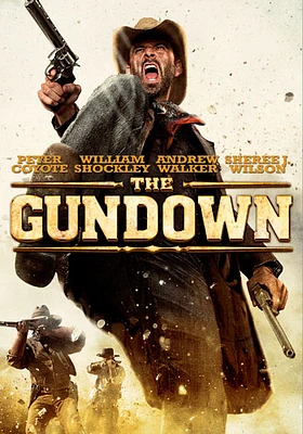 The Gundown - USED