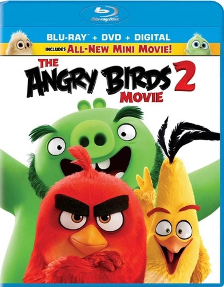 The Angry Birds Movie 2