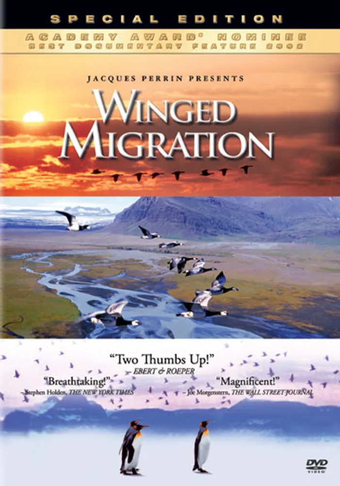 Winged Migration