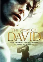 The Story Of David - USED