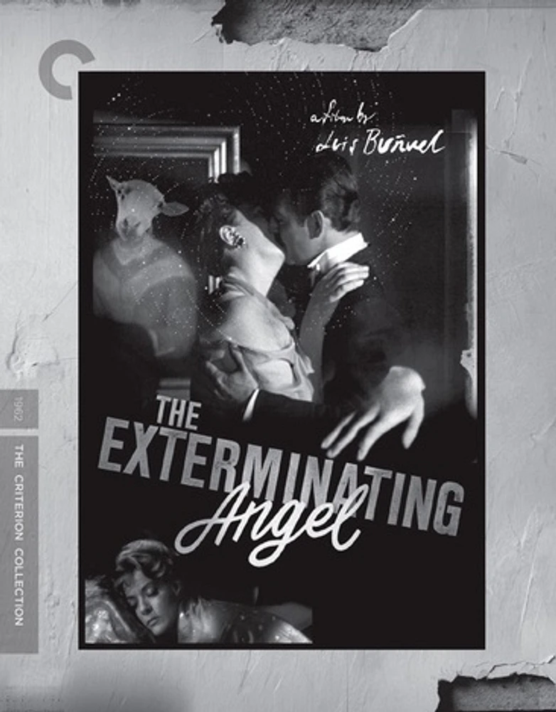 The Exterminating Angel - USED