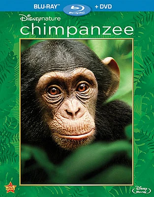 Chimpanzee - USED
