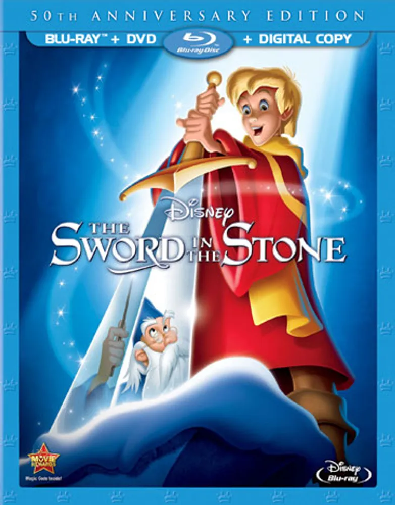 The Sword In The Stone