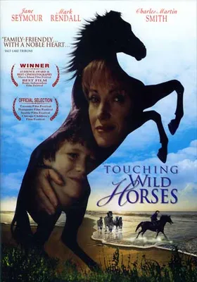 Touching Wild Horses - USED