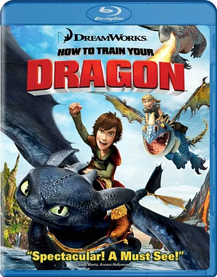 How to Train Your Dragon - NEW
