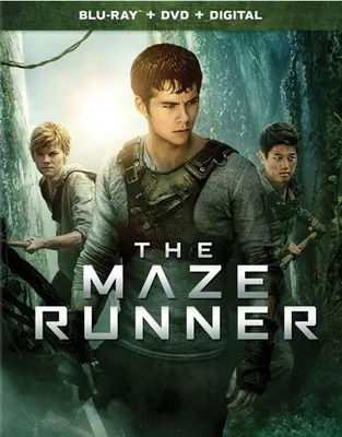 The Maze Runner