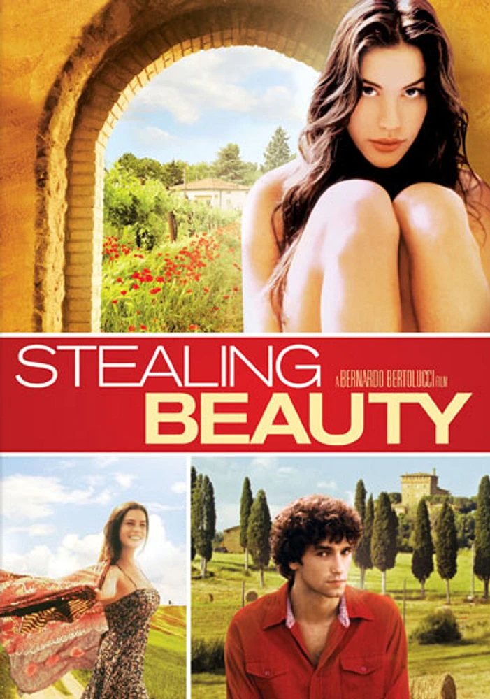 Stealing Beauty - USED