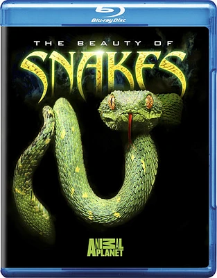 The Beauty of Snakes - USED