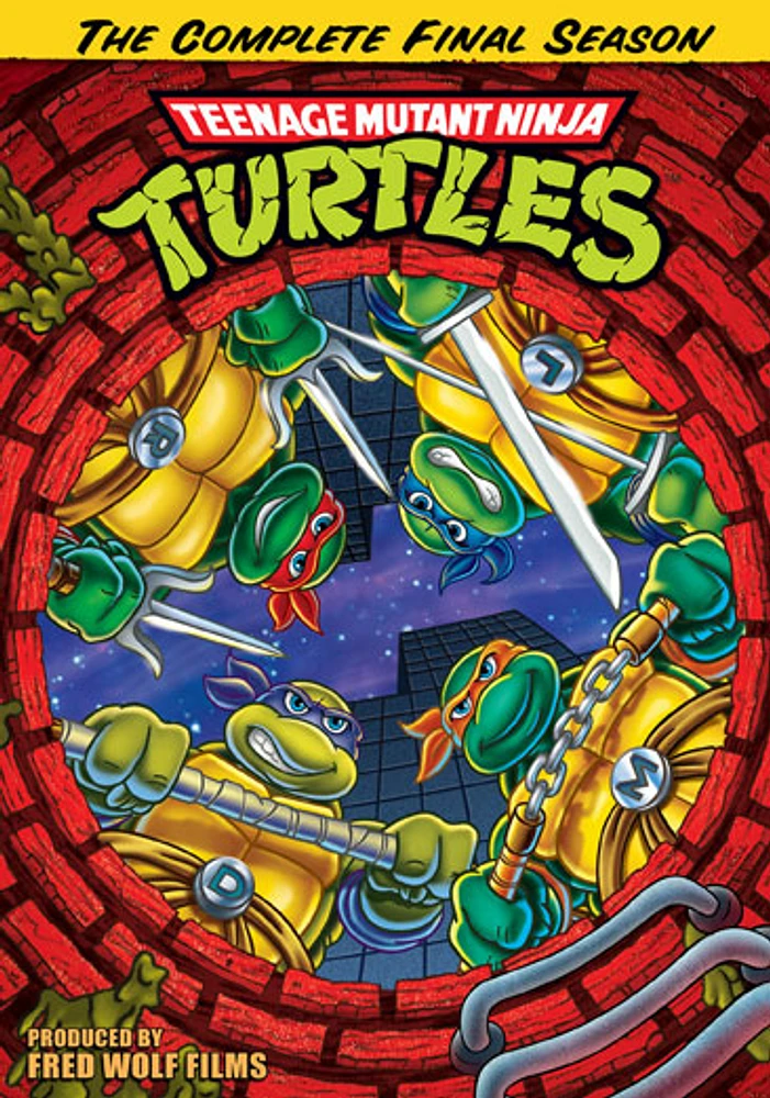 Teenage Mutant Ninja Turtles: The Complete Final Season - USED