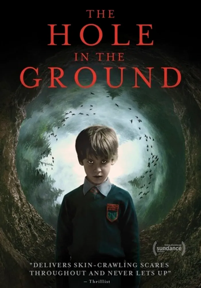 The Hole in the Ground