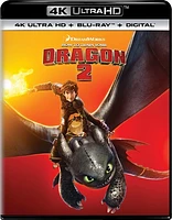 How to Train Your Dragon 2