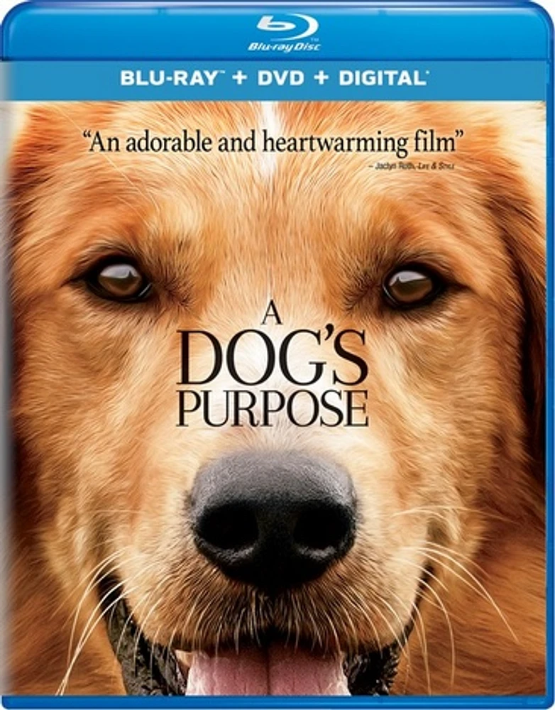 A Dog's Purpose - USED