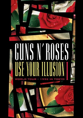 Guns N Roses: Use Your Illusion