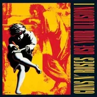 Use Your Illusion I (2 LP)