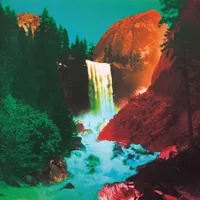 The Waterfall (2 LP)
