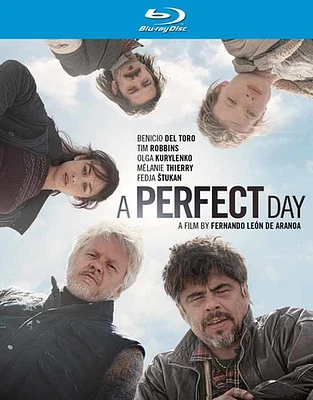 A Perfect Day - USED