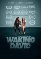 Waking David