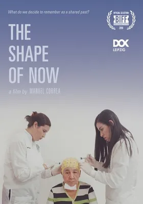 The Shape of Now