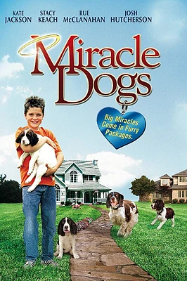 Miracle Dogs - USED