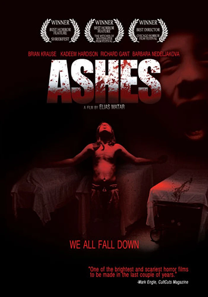 Ashes - USED