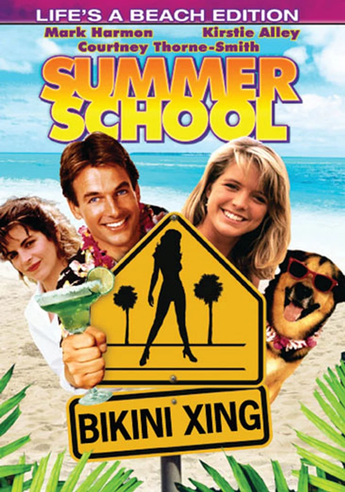 Summer School - USED