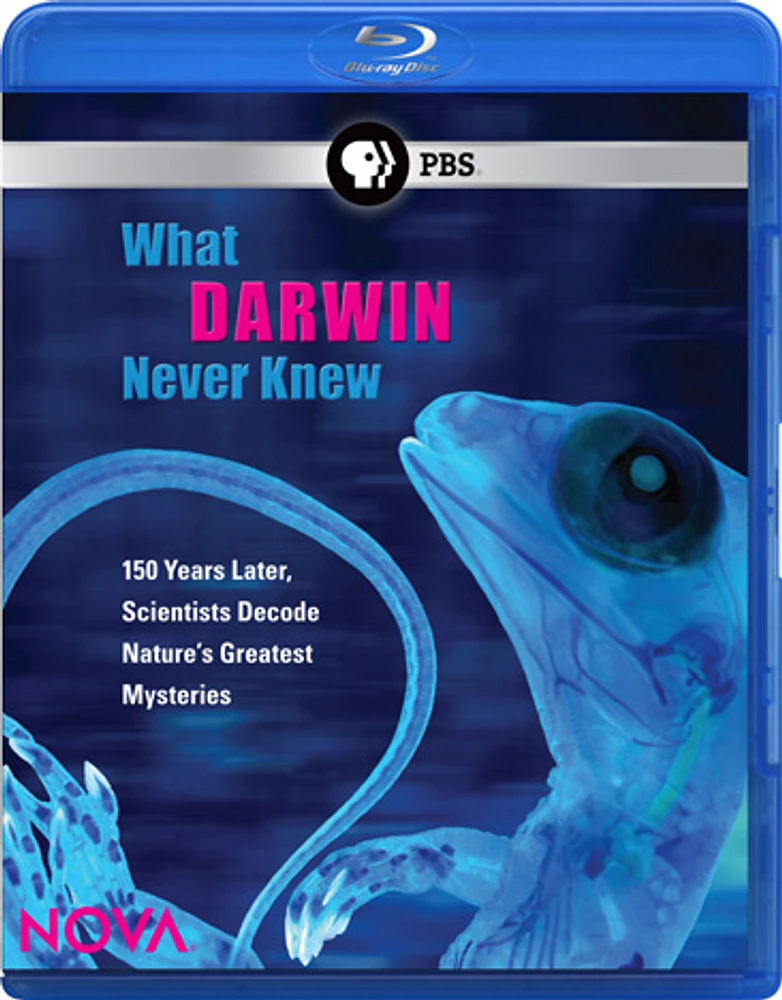 Nova: What Darwin Never Knew - USED