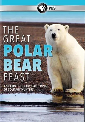 The Great Polar Bear Feast