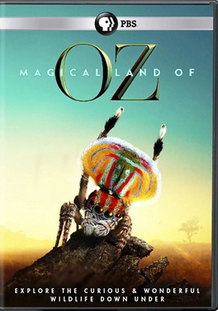 The Magical Land of Oz