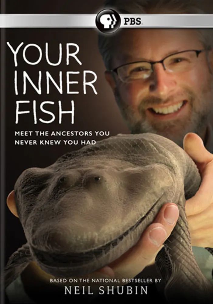 Your Inner Fish