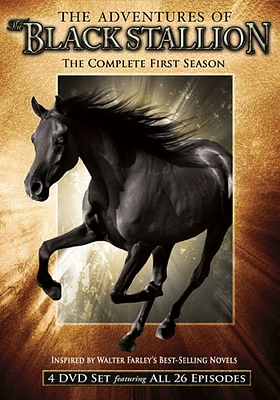 The Adventures of the Black Stallion: The Complete First Season - USED