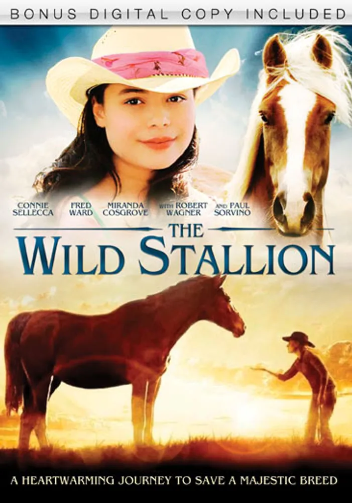 The Wild Stallion - USED