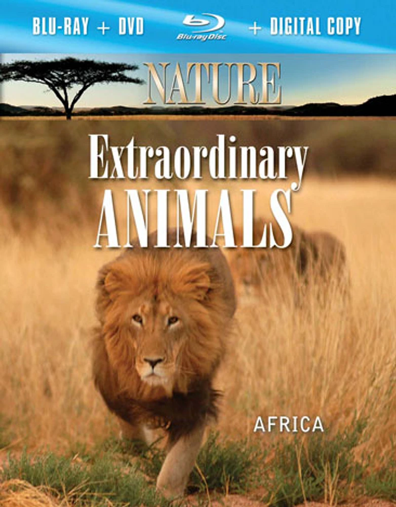 Nature: Extraordinary Animals Africa - USED