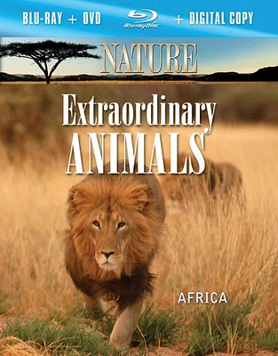 Nature: Extraordinary Animals Africa - USED