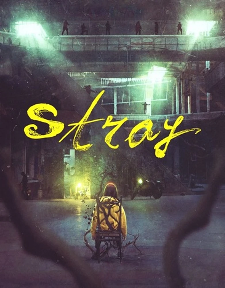 Stray - USED