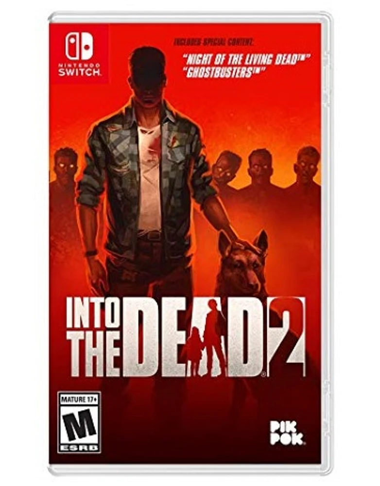 Into The Dead 2 - Nintendo Switch - USED