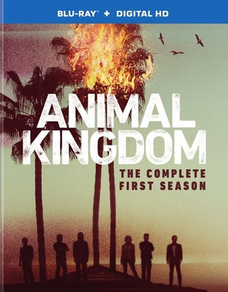 Animal Kingdom: The Complete First Season - USED