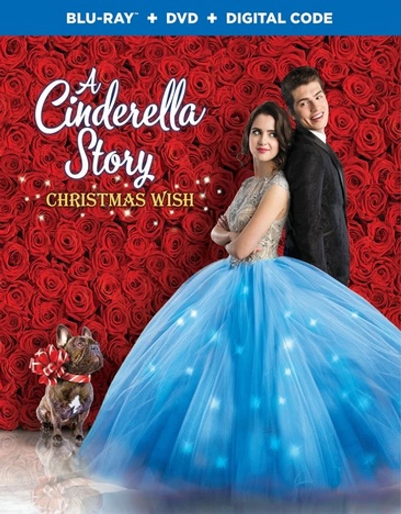 A Cinderella Story: Christmas Wish - USED