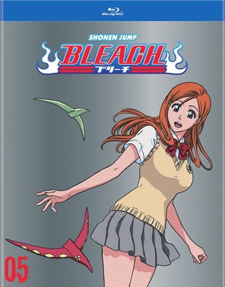 Bleach Box Set 5